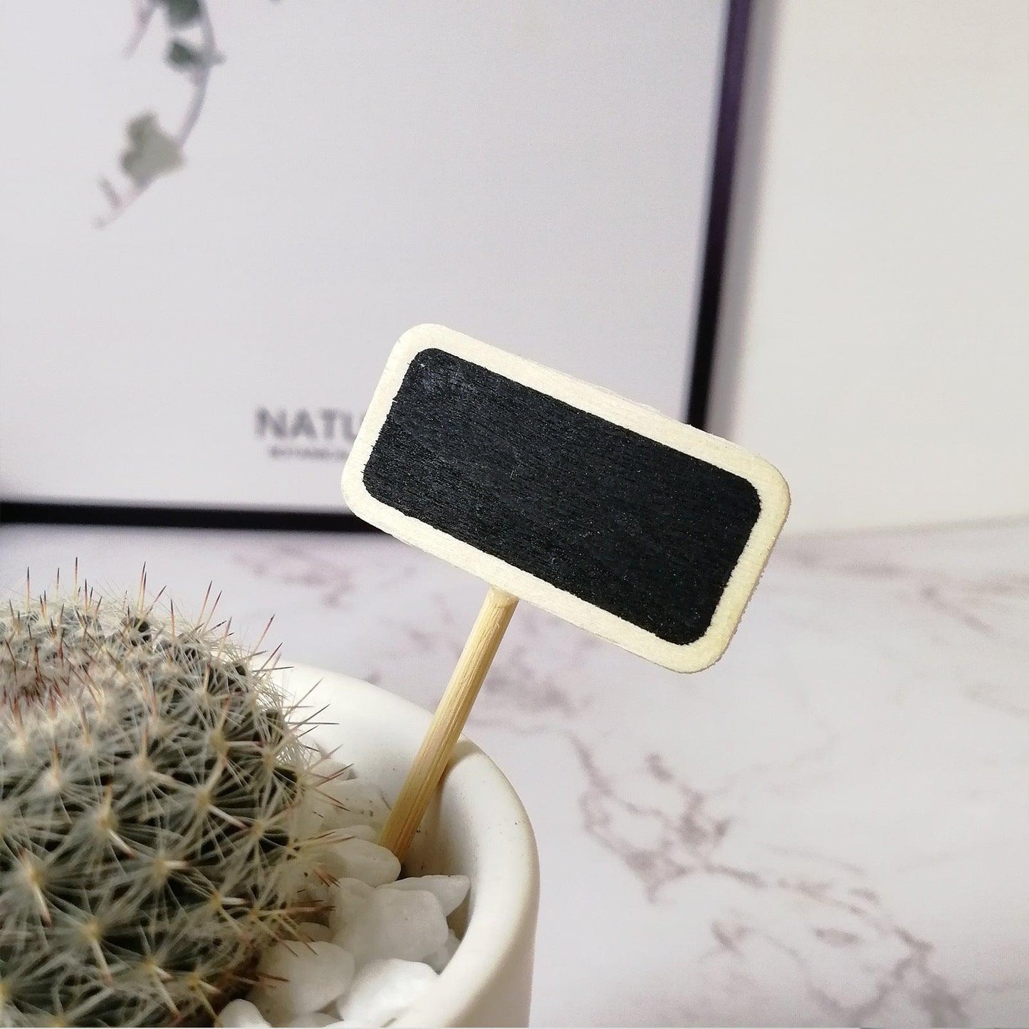 【預購】多肉植物玻璃花盆 (連木架) - Cnjpkitchen ❤️ 🇯🇵日本廚具 家居生活雜貨店