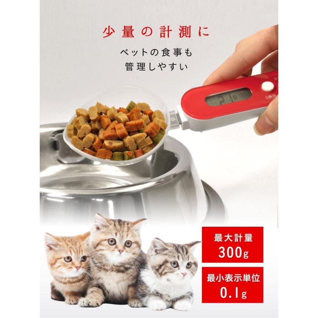 【預購】日本進口 ᴅʀᴇᴛᴇᴄ 烘焙輔食電子微量湯匙電子秤 - Cnjpkitchen ❤️ 🇯🇵日本廚具 家居生活雜貨店