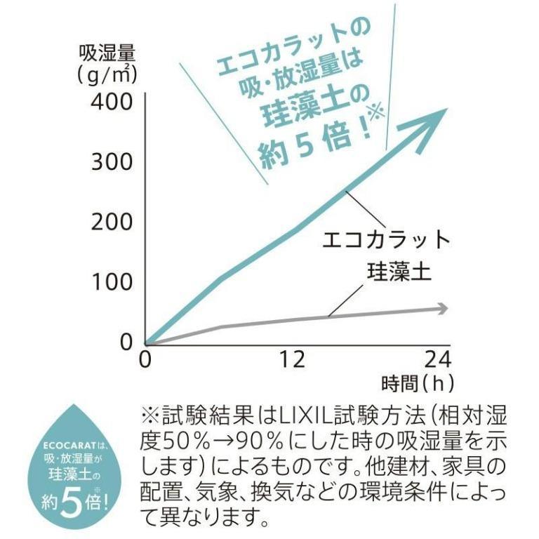 【現貨】🇯🇵 日本製 Ecocarat 鹽糖專用乾燥珪藻土 - Cnjpkitchen ❤️ 🇯🇵日本廚具 家居生活雜貨店