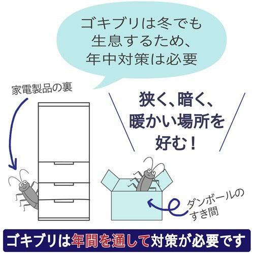 【預購】日本製 EARTH 小黑帽蟑螂屋 (12枚) - Cnjpkitchen ❤️ 🇯🇵日本廚具 家居生活雜貨店