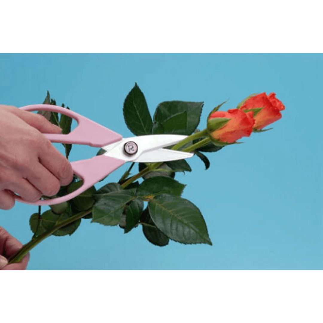 【現貨】日本製 粉紅色抗菌 陶瓷廚房剪刀 - Cnjpkitchen ❤️ 🇯🇵日本廚具 家居生活雜貨店