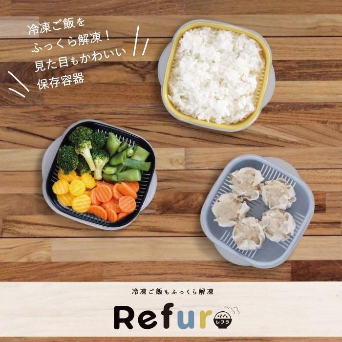 【預購】 🇯🇵 日本製 &ɴᴇ 抗菌微波爐解凍盒 (3件套) - Cnjpkitchen ❤️ 🇯🇵日本廚具 家居生活雜貨店