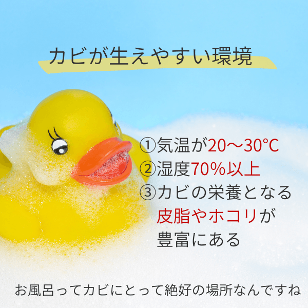 【預購】日本製 Furomori 天然預防浴室黴菌清潔盒(3 個月) - Cnjpkitchen ❤️ 🇯🇵日本廚具 家居生活雜貨店