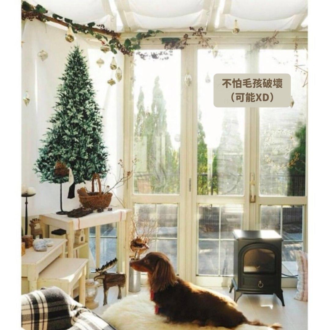 【預購】超慳位聖誕樹背景裝飾掛布 (連星星燈) - Cnjpkitchen ❤️ 🇯🇵日本廚具 家居生活雜貨店