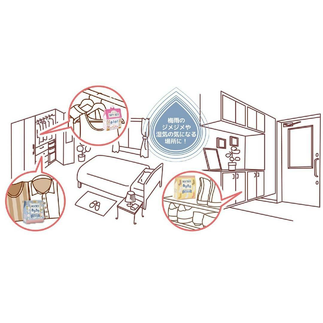 【現貨】 🇯🇵日本製 可重覆使用 Dry Box 除濕消臭盒(儲物箱) - Cnjpkitchen ❤️ 🇯🇵日本廚具 家居生活雜貨店