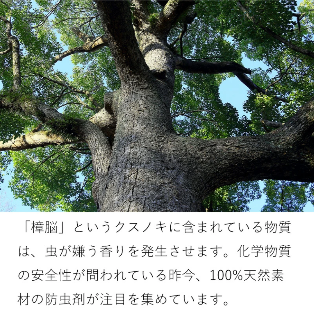 【預購】日本 Shimoyama 霜山 衣櫃收納箱去味驅蟲防蟑螂可懸掛三角形香樟木 (12枚入)