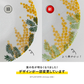 【預購】日本製 Minorutouki mimosa 美濃燒陶瓷拉麵湯碗 / 深餐盤 / 湯匙