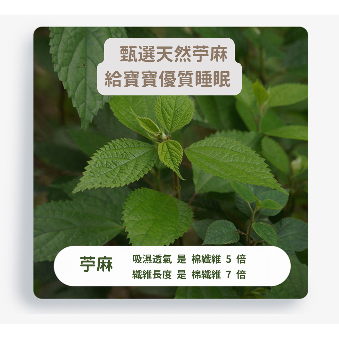 【預購】嬰兒床 夏季涼感首選 雙料親膚透氣苧麻軟涼席