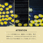 【預購】日本製 Minorutouki Mimosa Waltz 波佐見燒陶瓷 杯 / 餐碟 / 湯碗