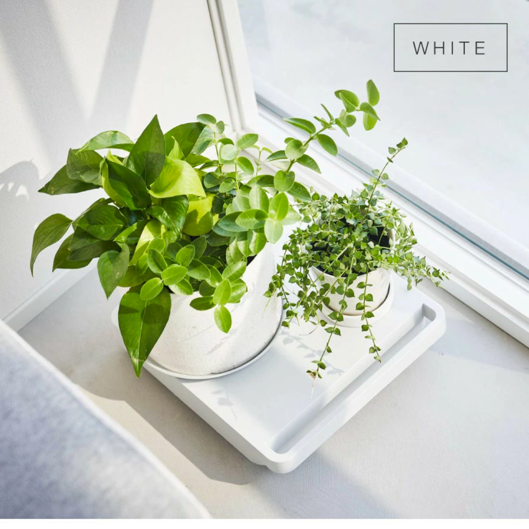 【預購】日本進口 山崎實業 YAMAZAKI 獨立式方形360度旋轉花盆風扇加濕機推車