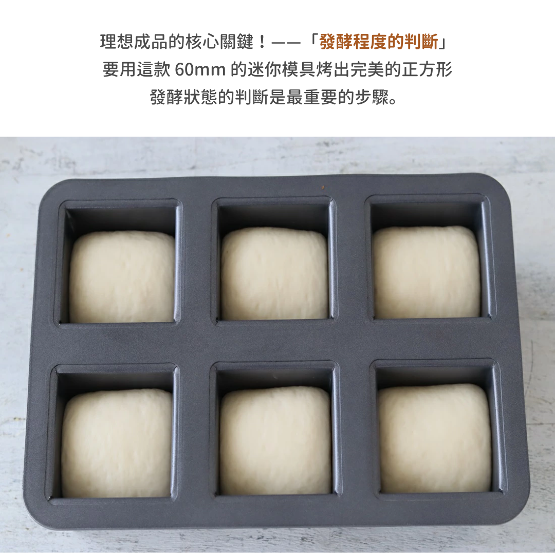 【預購】日本 Cotta 6連方形模具 - 迷你吐司/磅蛋糕專用（附蓋）
