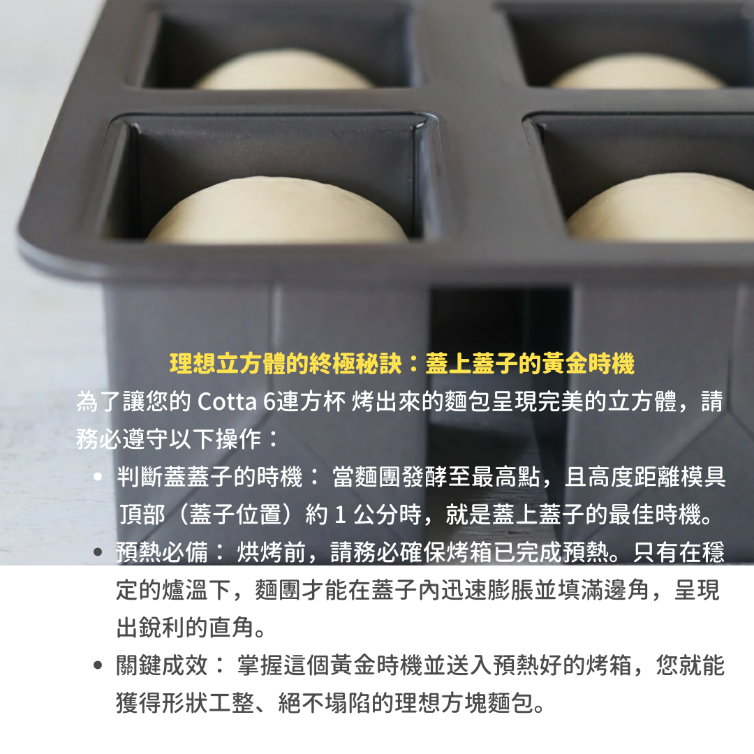 【預購】日本 Cotta 6連方形模具 - 迷你吐司/磅蛋糕專用（附蓋）