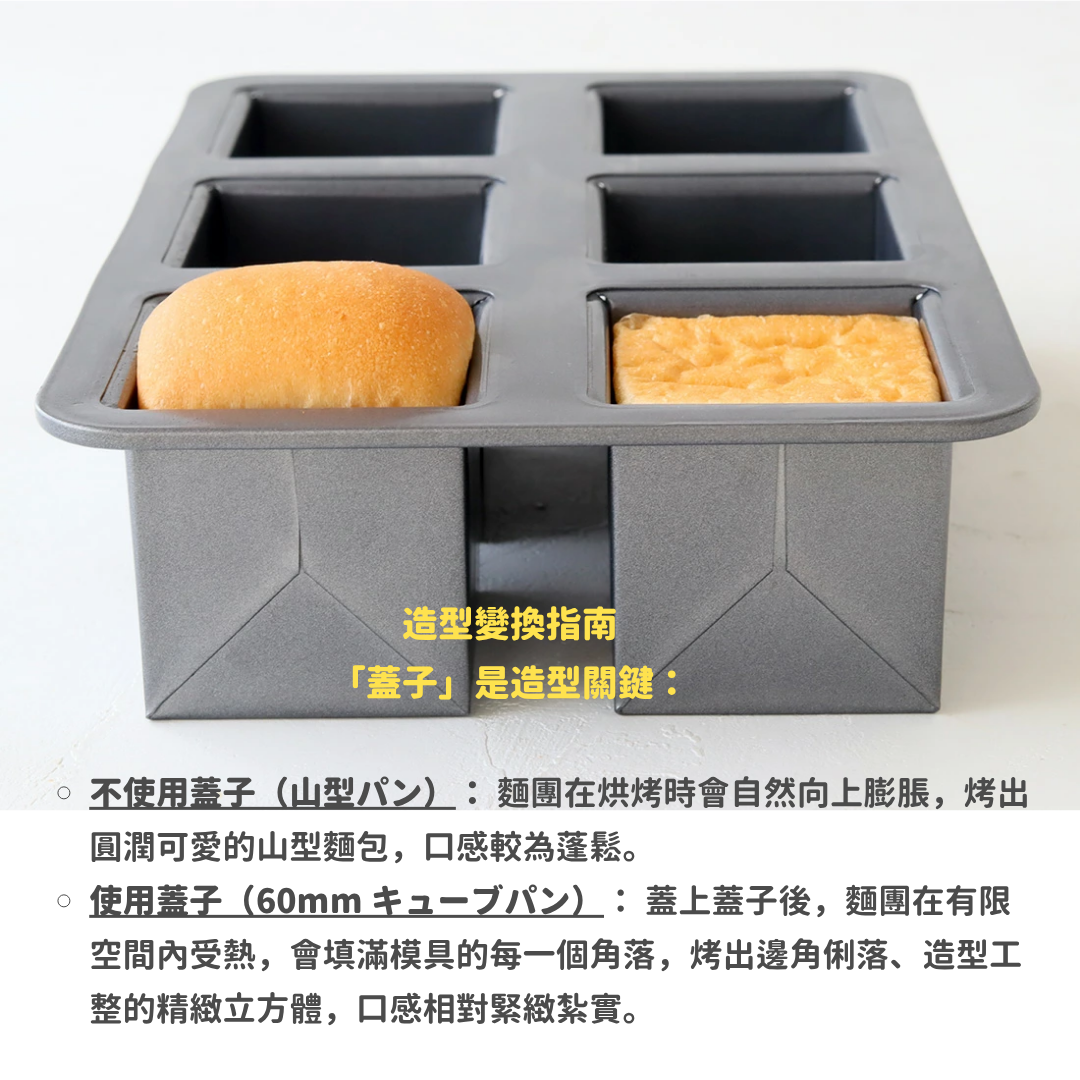 【預購】日本 Cotta 6連方形模具 - 迷你吐司/磅蛋糕專用（附蓋）