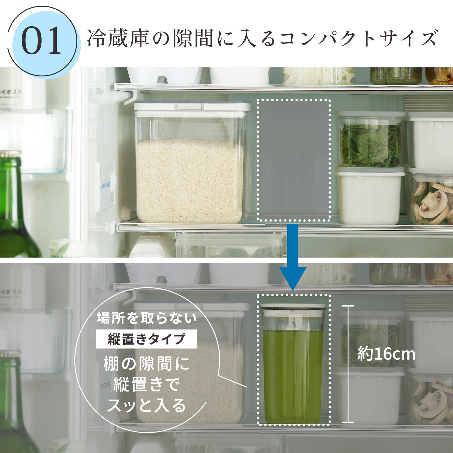【預購】日本進口 迷你冰箱縫隙冷水瓶 (1L) - Cnjpkitchen ❤️ 🇯🇵日本廚具 家居生活雜貨店