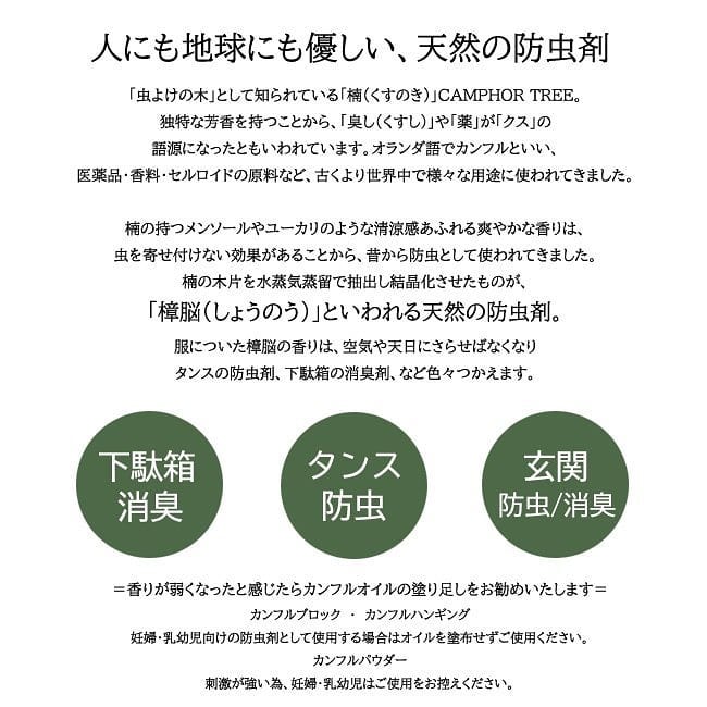 【預購】 🇯🇵 日本製 Restfolk 樟木防蟲方塊 (10塊裝)