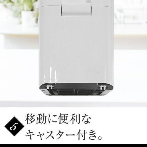 【現貨】日本進口 ASVEL家用防潮除蟲計量米箱 (6kg / 12kg)