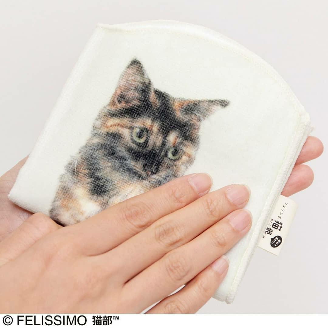 【預購】日本進口 ꜰᴇʟɪꜱꜱɪᴍᴏ 貓部 貓咪水樽毛巾袋 - Cnjpkitchen ❤️ 🇯🇵日本廚具 家居生活雜貨店