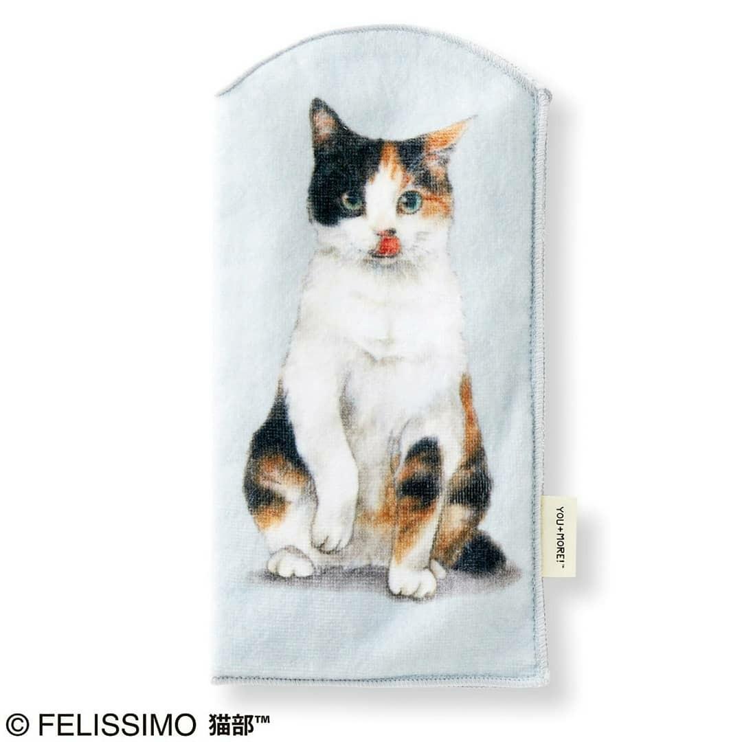 【預購】日本進口 ꜰᴇʟɪꜱꜱɪᴍᴏ 貓部 貓咪水樽毛巾袋 - Cnjpkitchen ❤️ 🇯🇵日本廚具 家居生活雜貨店