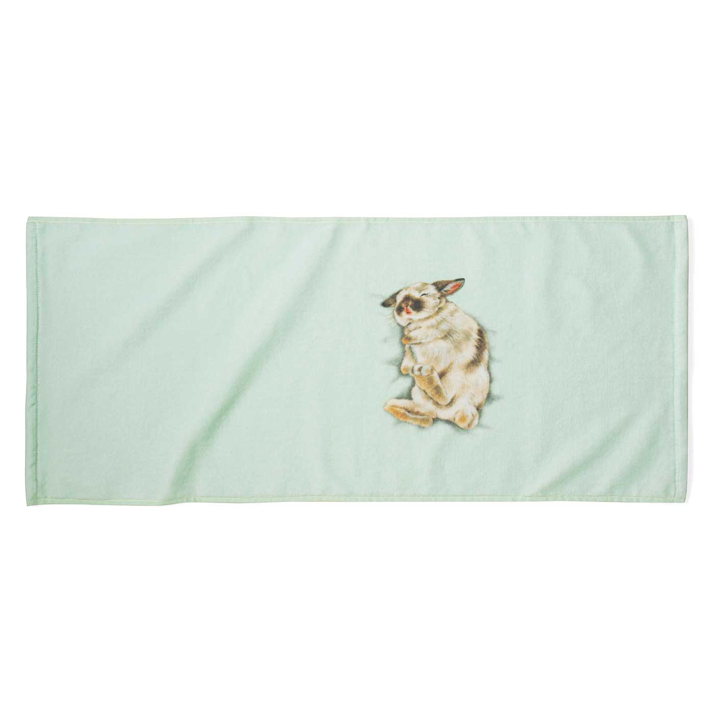 【預購】日本進口 YOU + MORE! 睡著兔仔枕頭毛巾 - Cnjpkitchen ❤️ 🇯🇵日本廚具 家居生活雜貨店