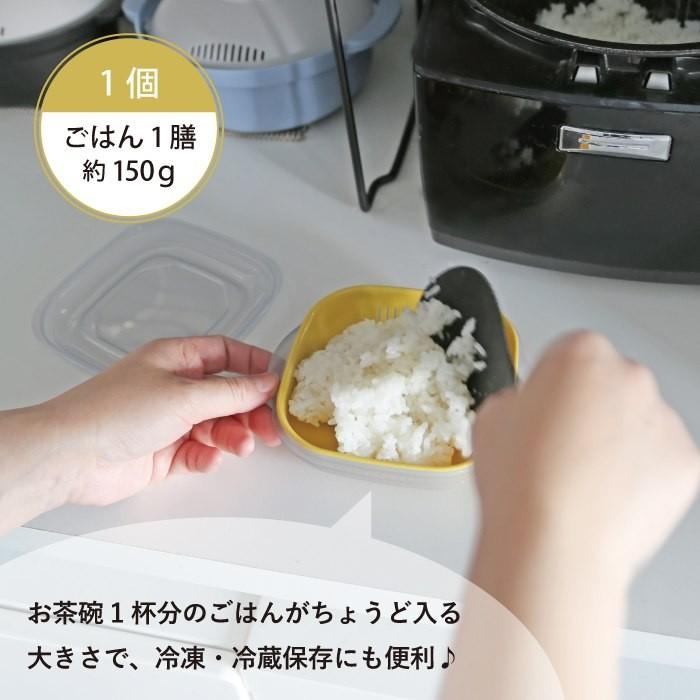 【預購】 🇯🇵 日本製 &ɴᴇ 抗菌微波爐解凍盒 (3件套)