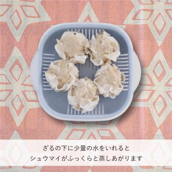 【預購】 🇯🇵 日本製 &ɴᴇ 抗菌微波爐解凍盒 (3件套) - Cnjpkitchen ❤️ 🇯🇵日本廚具 家居生活雜貨店