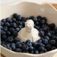 【預購】立體北極熊 冰山沙拉甜品水果碗