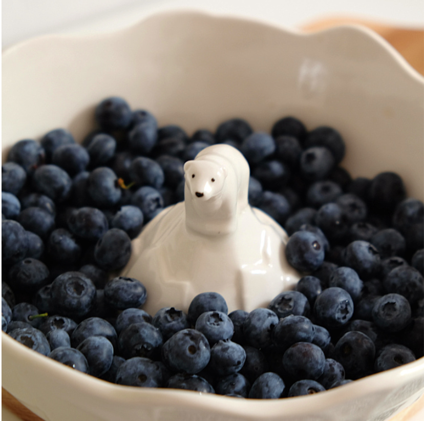 【預購】立體北極熊 冰山沙拉甜品水果碗