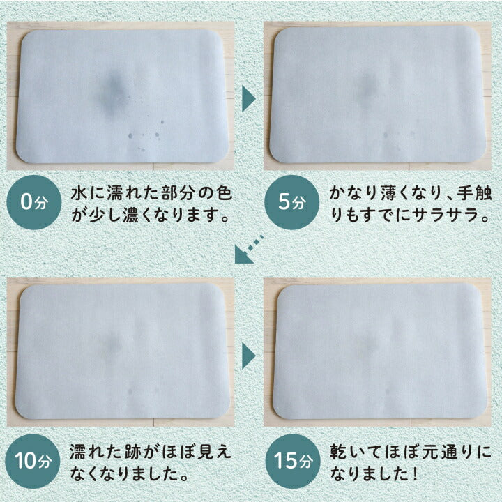 【預購】日本進口 台灣製 可摺疊矽藻土複合軟型浴墊